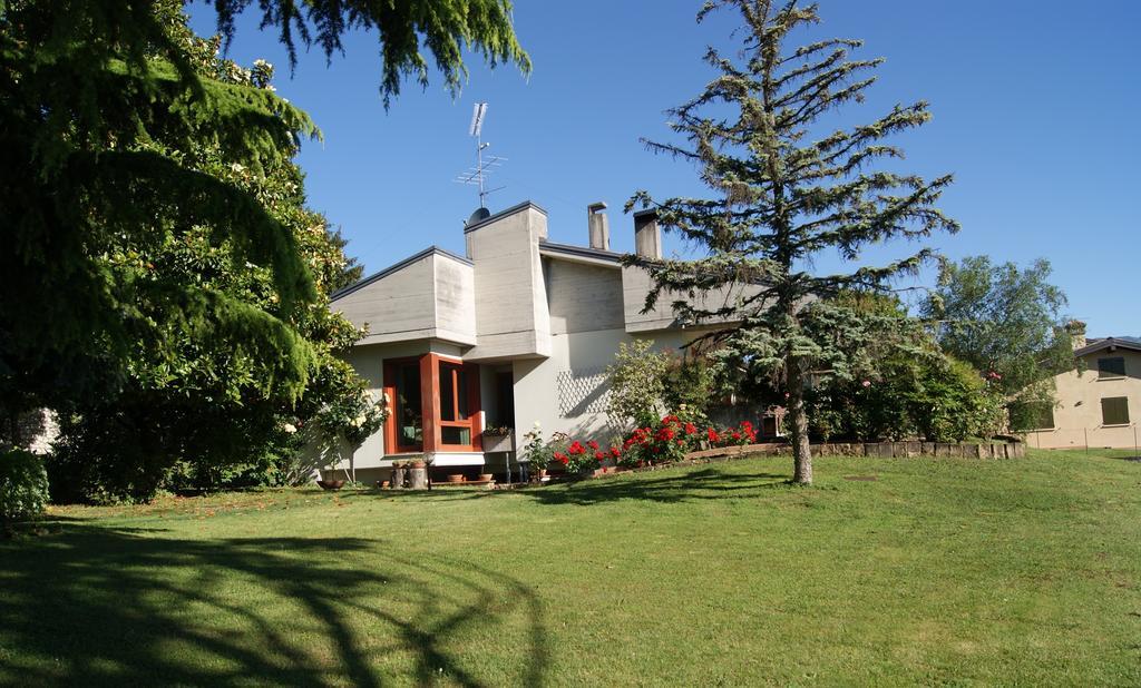 Elena Villa *